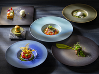 Wagtail (Sekirei) 3/1~5/31 (Includes 4 types of pairing wine)