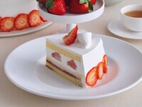【农场直送草莓集市】饮品套装/蓬松的“明日香红宝石”草莓蛋糕