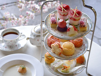 Cherry Blossoms and Strawberries: Spring Afternoon Tea Etiquette Class 2026