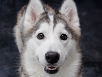 Make a reservation (Saturdays, Sundays, and holidays)