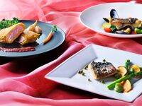 【 平日ディナー限定 】Chef's Recommend 