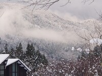 <朝夕食付2名>コテージ半棟カジュアルなツインルーム