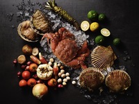 [Limited-time special price] SHUN + champagne by the glass