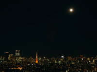 【Valentine Special Course】窓際限定席＋バレンタインメッセージ付コース全8品 10000