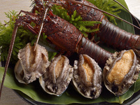 Premium Meat Course: Stone-Grilled Kaiseki Course ~Kishi~ Saiwai