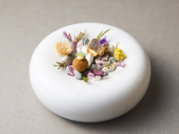 Saison（セゾン）2026年4月1日以降