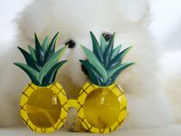 1時間ご利用チケット【沖縄県民割】