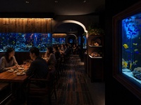 [B] Standard dinner course: 7 dishes + "Standard all-you-can-drink" *Beer is not included in the all-you-can-drink menu. *On weekdays, reservations are limited to the official website, and the price is reduced from 5,380 yen to 5,080 yen.