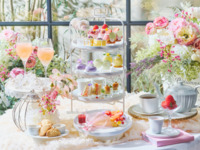 【土日 通常プラン（わんちゃん同伴無し）】大人/中学生以上フラワーマルシェアフタヌーンティー