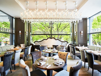 【個室確約】表参道の緑と季節の一皿に誘われて！スタンダードプラン＋2時間飲み放題（11～32名）