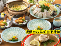 Our most popular dish! Extra sashimi! Minamichita's wild tiger pufferfish course