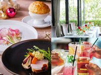 ★幹事様特典あり★【10名様～ガーデン付き個室貸切プラン】乾杯酒＆2時間飲み放題付き　旬野菜やパイ包みスープ、メインを選べるコース全5品 - SHIKITEI -