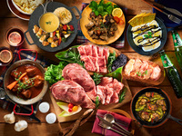 (Summer) — McKinley Plan (Unlimited Alcohol)