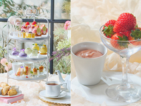 犬同伴【フレッシュイチゴ付】フラワーマルシェアフタヌーンティー（平日）