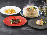 Amber Course [From April 1st]