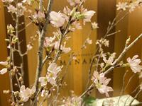 【3月25日ディナー限定　春よ、こいこいフェア】