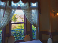 【Dessert Cafe】円山公園しだれ桜・眺望席確約!【3名様】