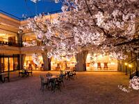 フレンチ【ディナー】桜コース