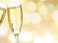 [Reservations required 5 days in advance] Anniversary Plan Degustation Course