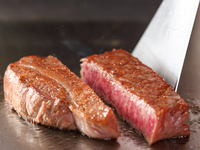  Foie Gras & Sea Bream Course [Kobe Beef Fillet 100g]