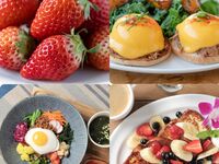 【春の苺プラン】ランチコース　紅ほっぺ苺のフレンチトーストと選べるメイン