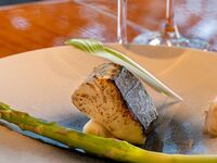 春の昼懐石　ヒレテーキ60g｜平日カード会員様限定｜当日入会可