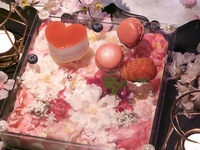 [Anniversary ~ A Profusion of Cherry Blossoms at Night ~ (3/3~)] Includes a toast with an original cocktail ☆ Celebrate with a cherry blossom flower box ★ Spring special course (with a toast and strawberry heart cake)