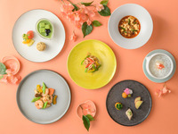 【WEB限定】HALOWランチコース★点心盛合せ付★