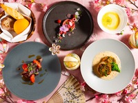 「醍醐」スプリングランチコース