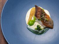 Seasonal「シーズナル」（リブロース）