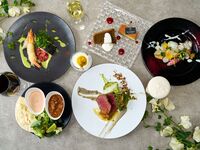 【表参道 歓送迎会】翠緑のヴェールに包まれて～豪華Wメインの美食～