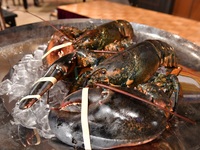 【3・4月】碧  ～うみ～