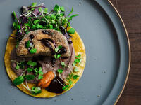 March - April Vegan Course (March 6th to April 26th)