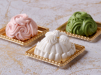 ミニマロンシャンテリーセット 3/1-4/10