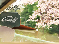 春ランチコース！