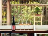 [Limited to 20 seats] One-night-only special collaboration event with Terumon