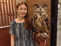 【大人】 触れ合い＋フクロウ乗せ体験＋1オーダー制