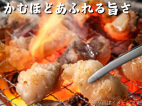 単品：和牛ホルモンミックス(約200g)