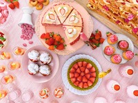 【4月～6月】<ディナー>生ビール飲み放題付・満開春桜といちごのスイーツビュッフェ 8,300円