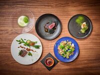 【シグネチャーディナーコース】鹿肉や牛ヒレ肉の炭焼き 九州各地の食材を堪能 全7品