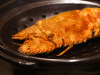 Waryu Premium Course -TUMUGI-