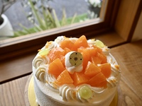 【季節限定】せとかのショート（4号）