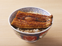 Grilled eel on rice
