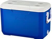 [Rental equipment] Cooler box (1 unit)