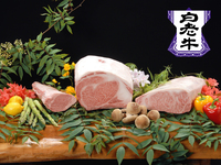 March-April Shikisai Course <Shiraoi Wagyu Beef, one of Hokkaido's top three Wagyu beef>