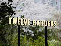 【櫻花晚餐套餐露台保證】3月16日-4月5日 春季櫻花晚餐套餐露台保證計劃 8,000日元（晚餐）