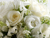 【法要プラン】コース料理＋個室料無料　14,000円（3/1～）