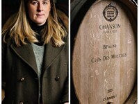 【4月23日(木)開催】 Domaine Chanson テイスティングセミナー