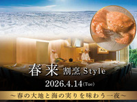 「春来 割烹S t y l e」(2026.4.14)【カウンター席】（お食事・ドリンク別）