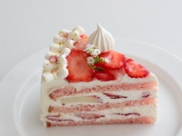 Cherry blossom and strawberry shortcake